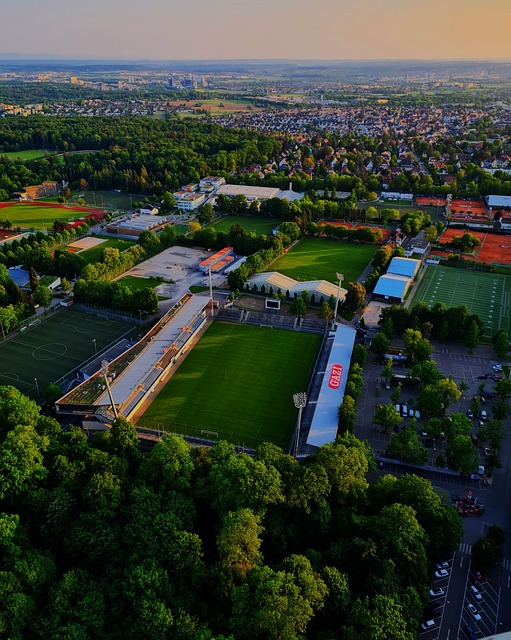 引入皮奥利 引入皮奥利