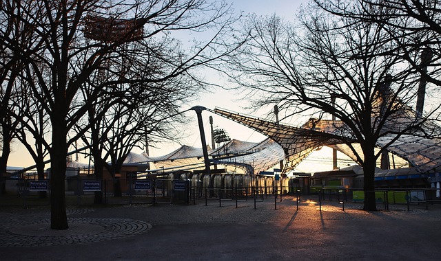 实性和权威 实性和权威