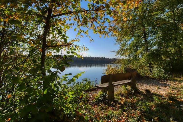 是曼聯青訓 是曼聯青訓