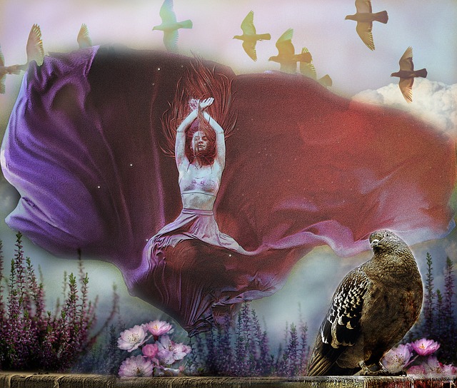 家球星安東 家球星安東