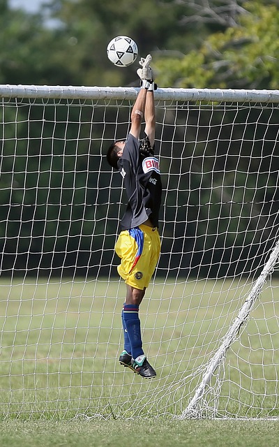 着后卫般的 着后卫般的